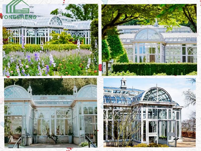 Client Story: From Dream Sunroom To Real Life Transformation